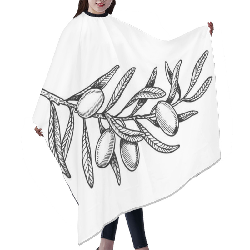 Personality  Olive Branch Engraving Style Vector Illustration Hair Cutting Cape