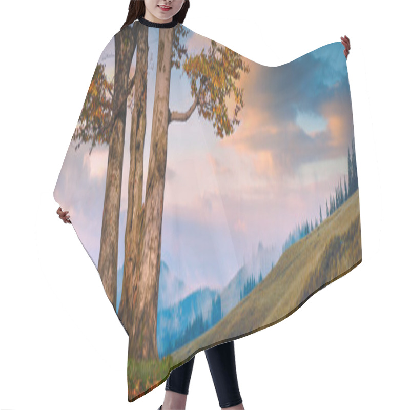 Personality  Lonely Oak In Valley Hair Cutting Cape