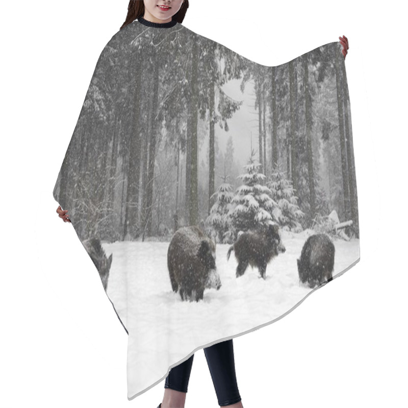 Personality  Wild Boars Pigs In Winter Forest Hair Cutting Cape