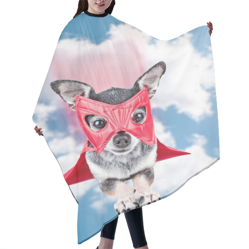 Personality  Cute Chihuahua In A Super Hero Costume Flying Through The Sky Hair Cutting Cape