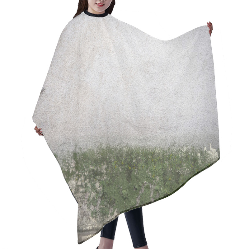 Personality  Wall Texture With Moss. Hair Cutting Cape