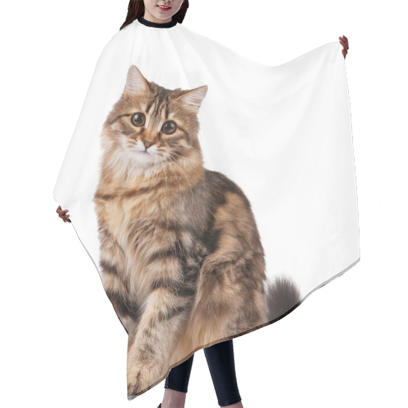 Personality  Cute Cat Hair Cutting Cape