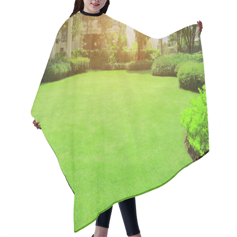 Personality   Fresh Gardening Green Burmuda Grass Smooth Lawn With Curve Form Of Bush, Trees On The Background In The House's Garden  Under Morning Sunlight Hair Cutting Cape