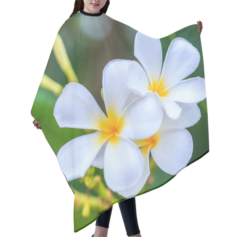 Personality  Plumeria  Flowers On Tree Hair Cutting Cape