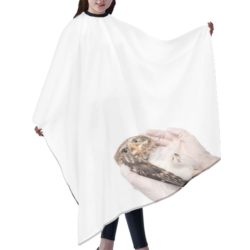 Personality  Partial View Of Veterinarian Holding Wild Injured Owl Isolated On White With Copy Space Hair Cutting Cape