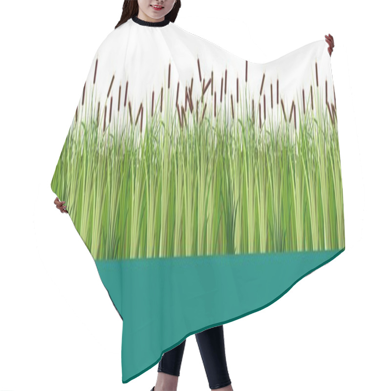 Personality  Vector Reed And Cattail Plants In The Lake Or Swamp Water Seamless Pattern. Flat Vector Illustration Isolated On White Background Hair Cutting Cape