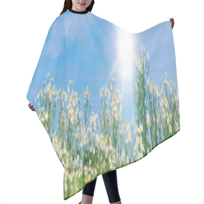 Personality  Daisies, Daisy Panorama Hair Cutting Cape