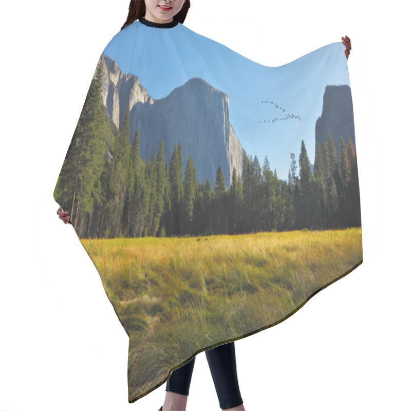 Personality  The Bird's Flight In Yosemite Park. Hair Cutting Cape