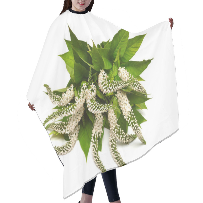 Personality  Bouquet Flowers Lysimachia Clethroides, The Gooseneck Loosestrife Isolated On White Background. Flat Lay, Top View. Floral Pattern, Object Hair Cutting Cape