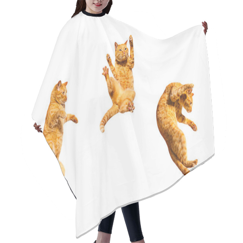 Personality  Three Ginger Dancing Cats Isolated On A White Background. Hair Cutting Cape