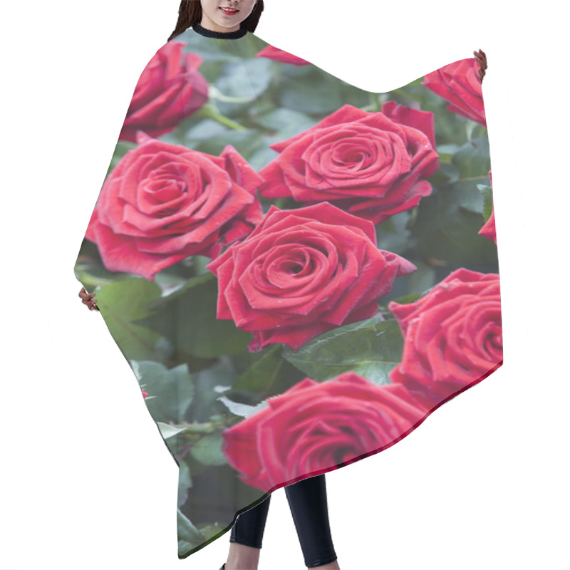 Personality  Red Roses Bouquet Hair Cutting Cape