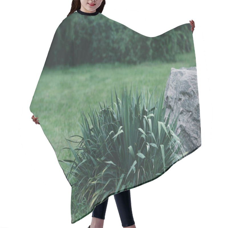 Personality  Decorative Bush And Rock On Meadow In Botanical Garden Hair Cutting Cape