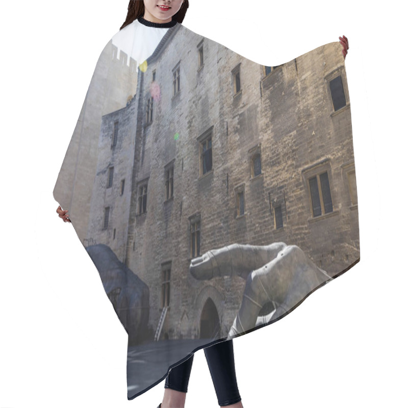 Personality  Sculptures Hair Cutting Cape