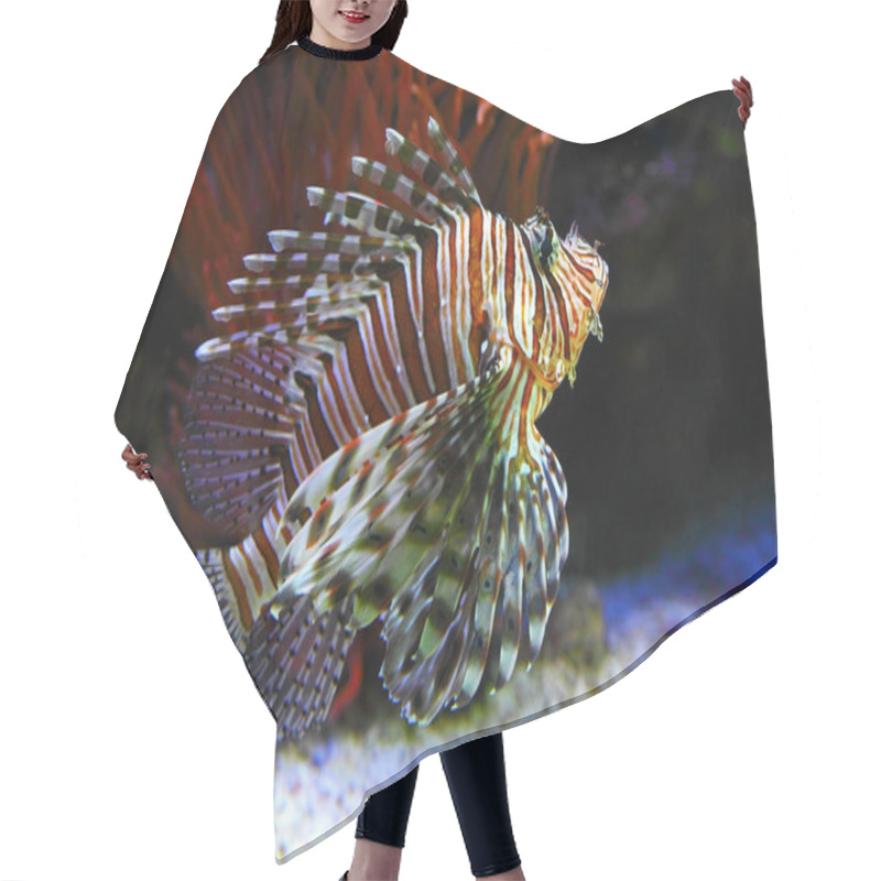 Personality  Dragonfish Hair Cutting Cape