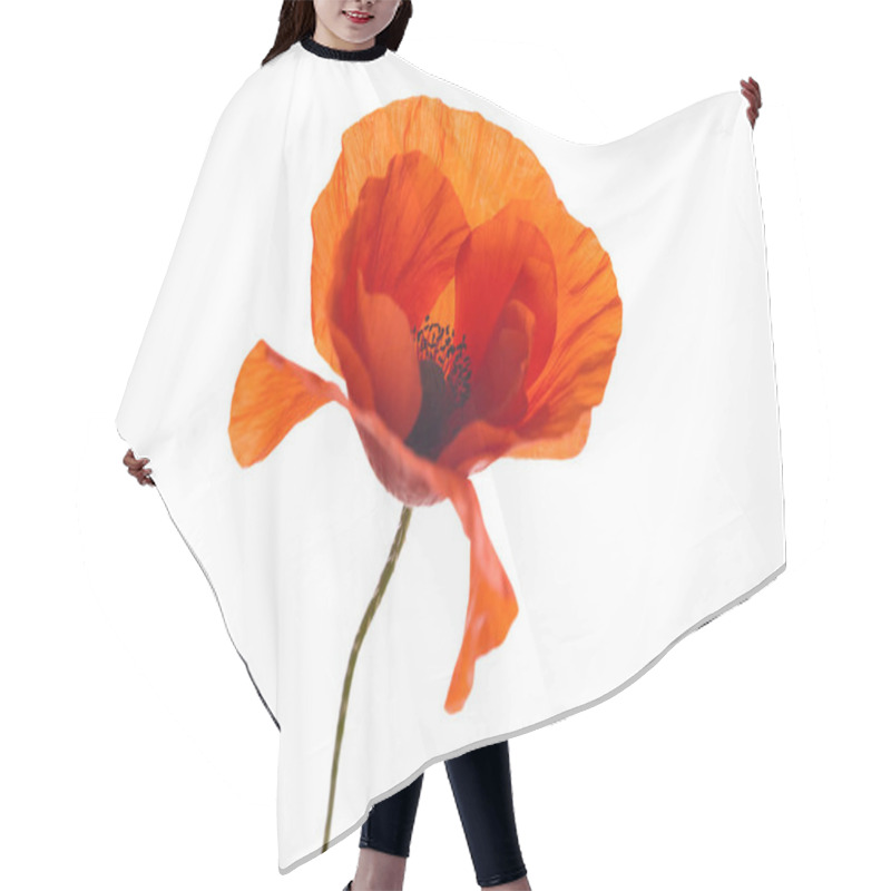 Personality  Red Poppy Flower Isolated On A White Background Hair Cutting Cape