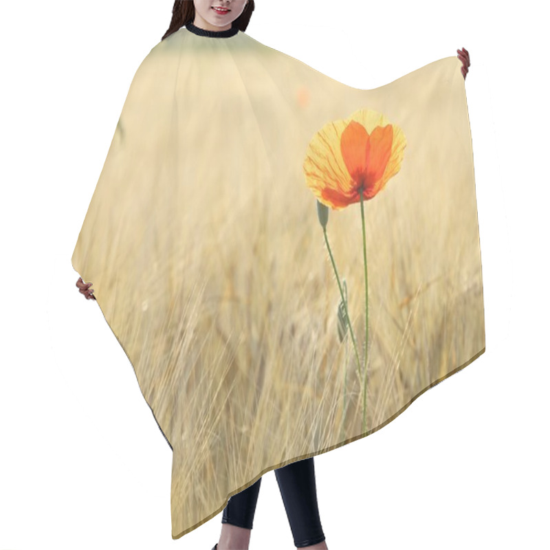 Personality  Lonely Poppy In The Field Hair Cutting Cape