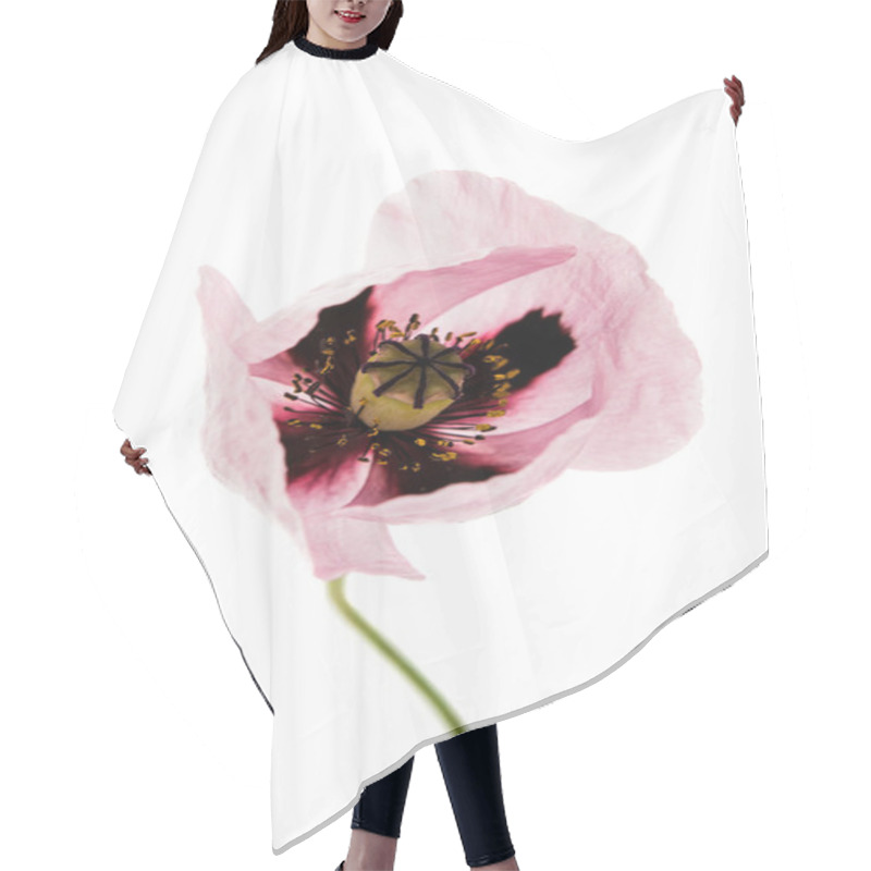 Personality  Purple Poppy Bouquet Hair Cutting Cape