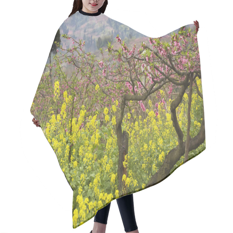 Personality  Pink Peach Yellow Canola Blossoms Sichuan China Hair Cutting Cape