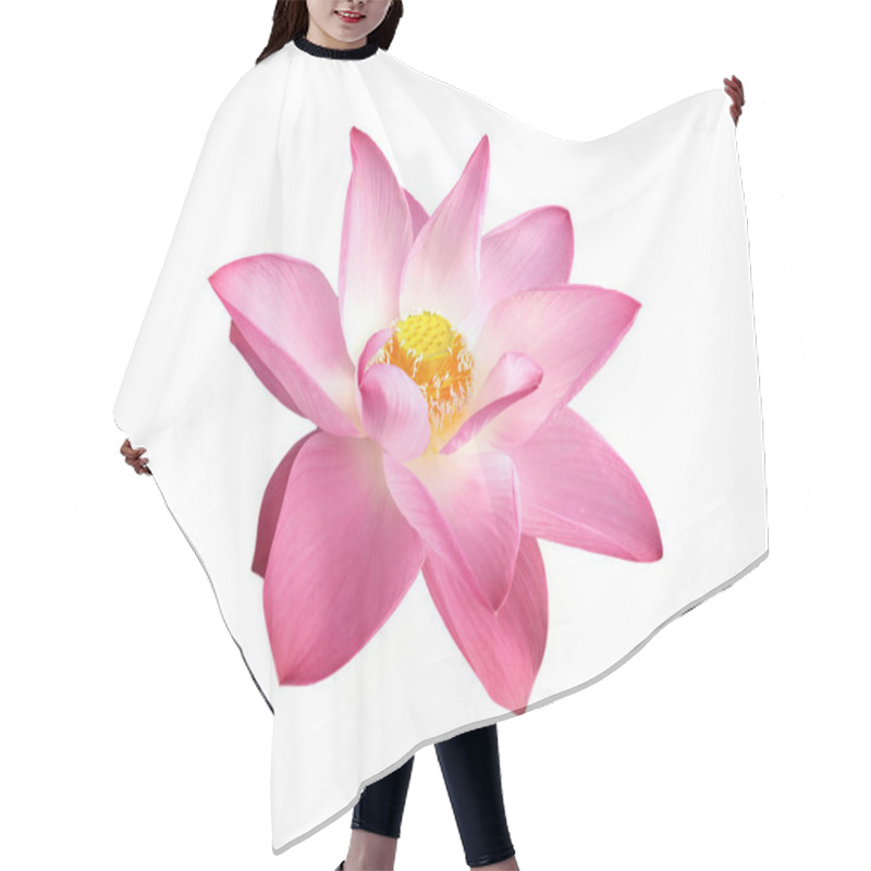 Personality  Beautiful Pink Lotus Flower Blooming With Visible Stamens And Pistils Isolated On White Background With Clipping Path. Concept: Water Lily Symbolizes Purity In Buddhism. Hair Cutting Cape