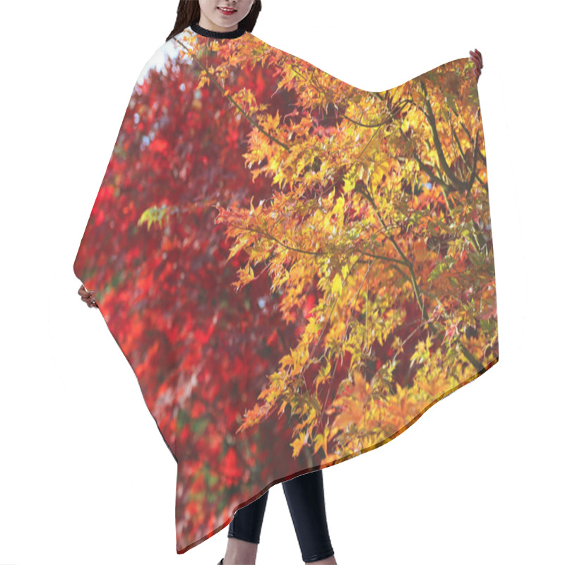 Personality  Bright Autumn Branches Hair Cutting Cape