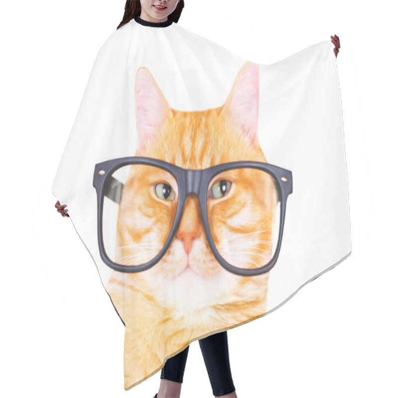 Personality  Red Cat With Glasses Isolated On White Background. Hair Cutting Cape