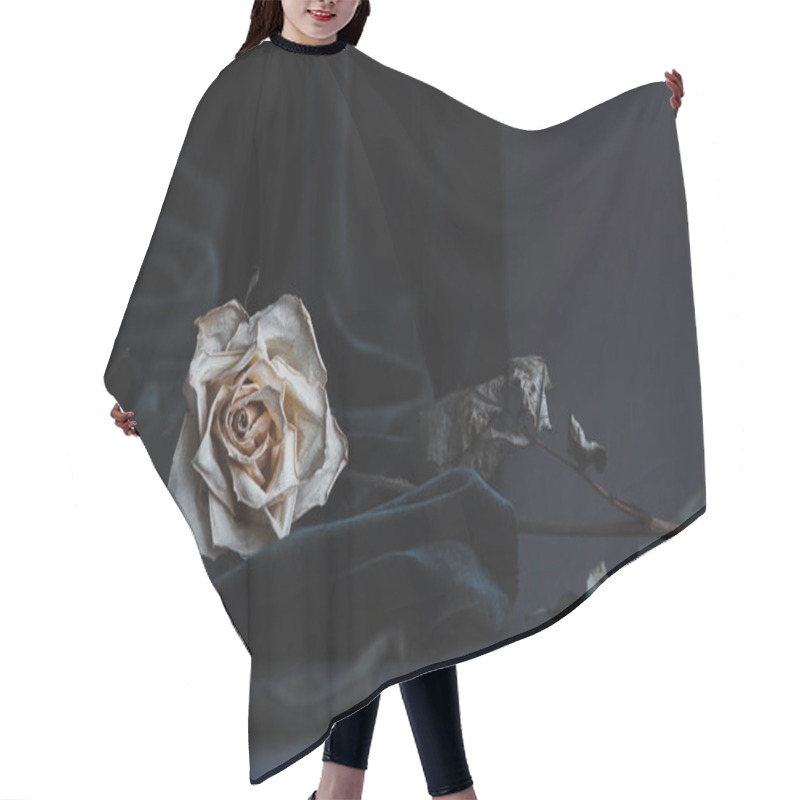 Personality  Dried White Rose On Gray Background With Dark Velvet Draping Hair Cutting Cape