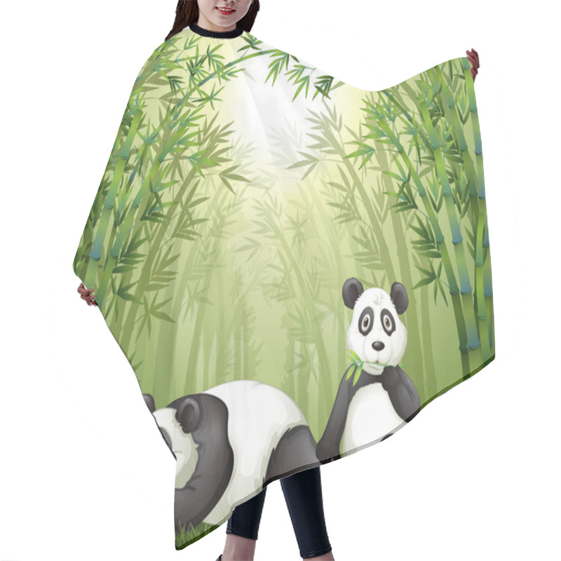 Personality  Two Pandas In The Bamboo Forest Hair Cutting Cape