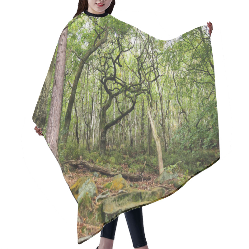 Personality  Scenic View Of Green Spring Woodland  Hair Cutting Cape