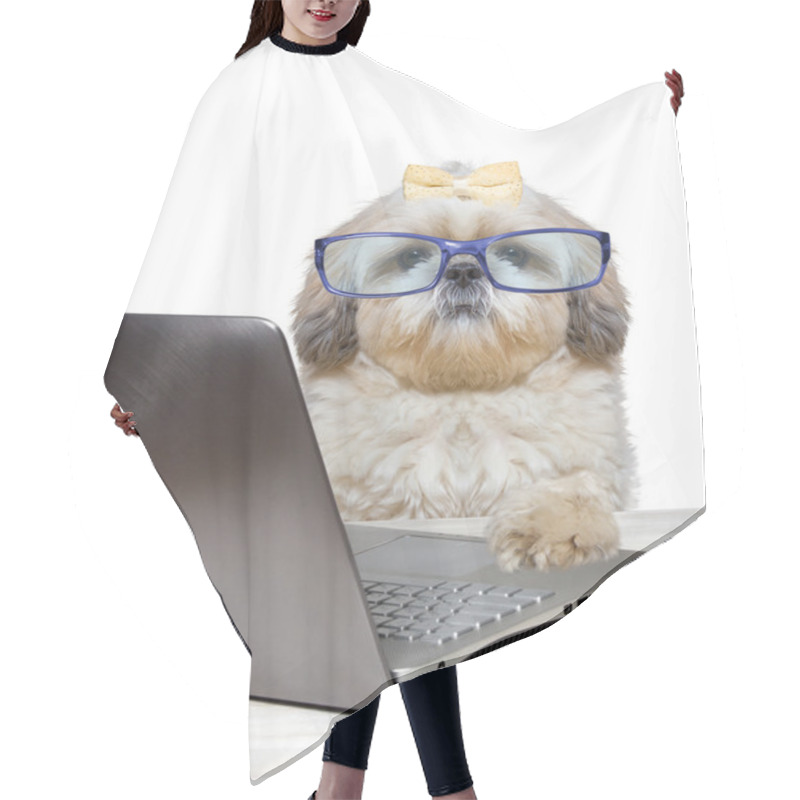 Personality  Dog Working At A Laptop Hair Cutting Cape