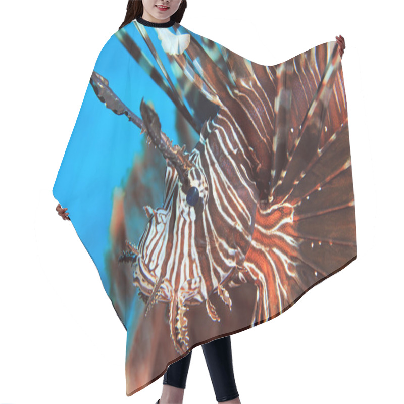 Personality  Common Lionfish Hair Cutting Cape