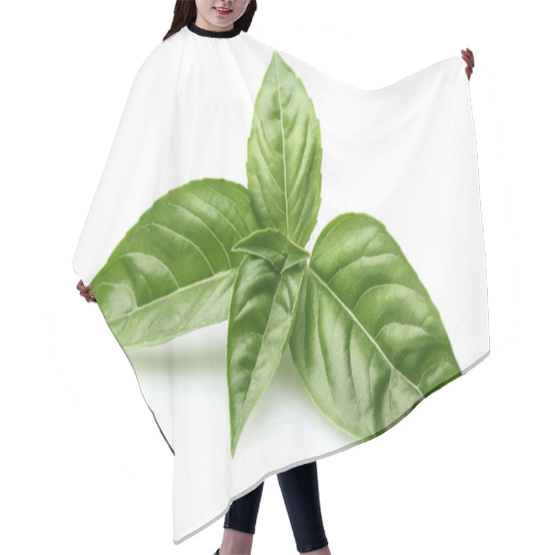 Personality  Basil Leaves Hair Cutting Cape