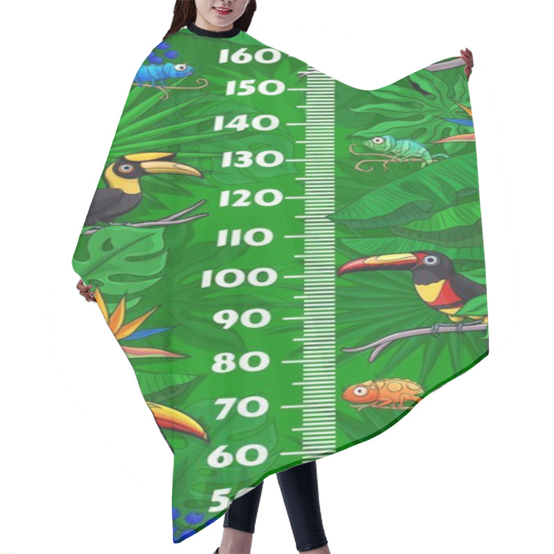 Personality  Kids Height Chart With Cartoon Toucan Birds And Chameleons In Jungle Tropical Leaves. Vector Growth Measure Wall Meter With Centimeter Ruler Scale On Background Of Exotic Animals, Lizards, And Flowers Hair Cutting Cape