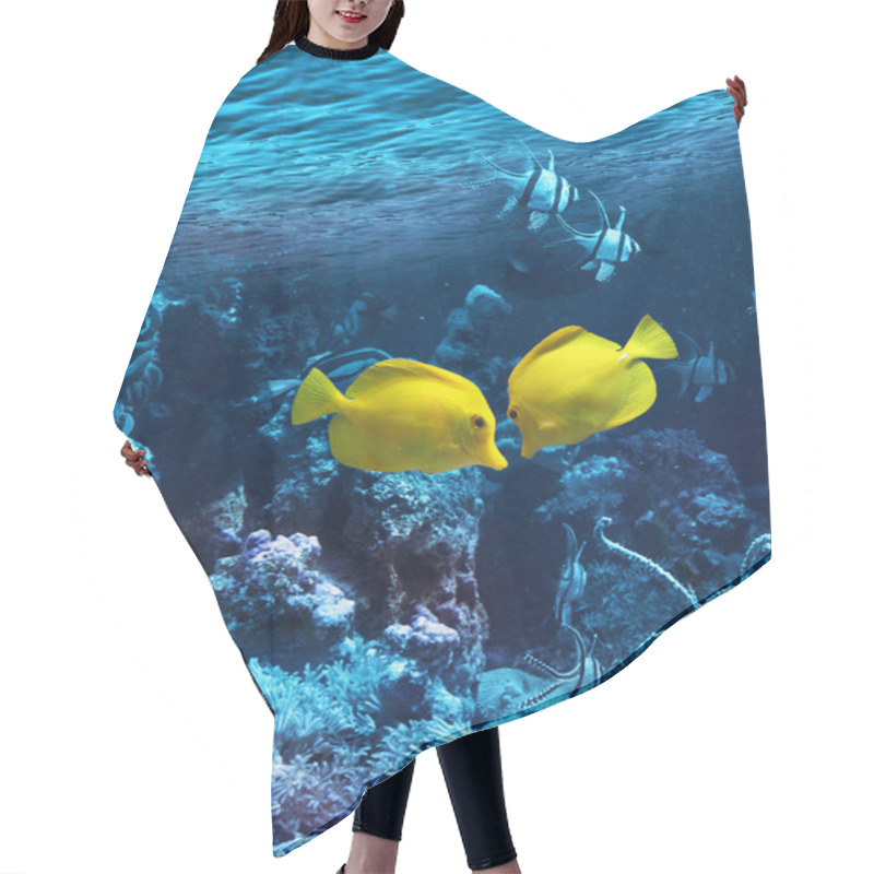 Personality  Two Yellow Tropical Fishes Hair Cutting Cape