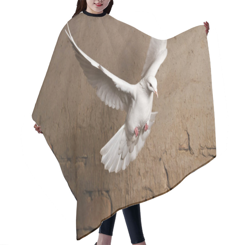 Personality  White Dove Flying Against A Background Of An Old Brick Wall Hair Cutting Cape