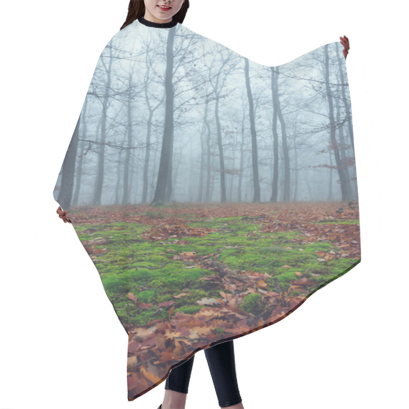 Personality  Autumn Foggy Day In A Oak Forest From Hungary Hair Cutting Cape