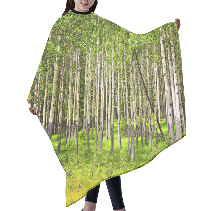 Personality  Aspen Trees In Banff National Park Hair Cutting Cape