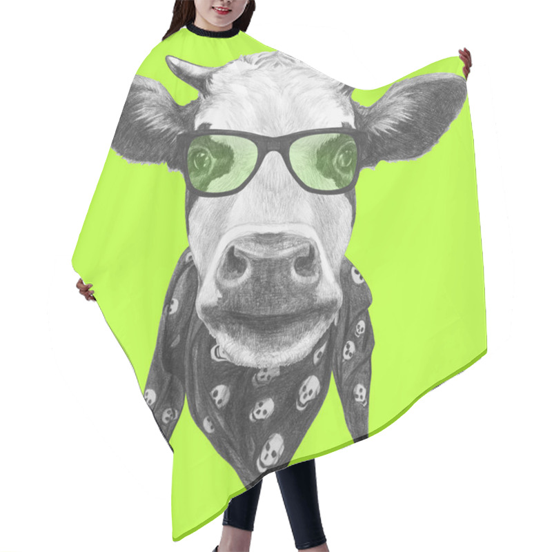 Personality  Portrait Of Cow With Glasses And Scarf.  Hair Cutting Cape