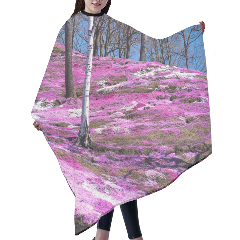 Personality  Moss Phlox In Spring Hokkaido Hair Cutting Cape