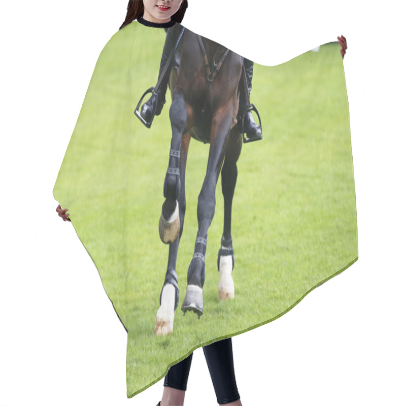 Personality  Detail Of The Canter Dark Brown Horse Hair Cutting Cape