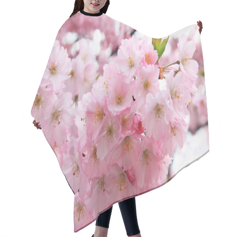 Personality  Light Pink Blooming Cherry Tree, Closeup Hair Cutting Cape