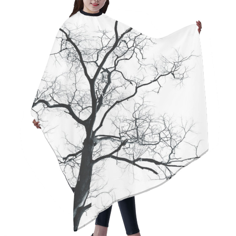 Personality  Dead Tree Hair Cutting Cape