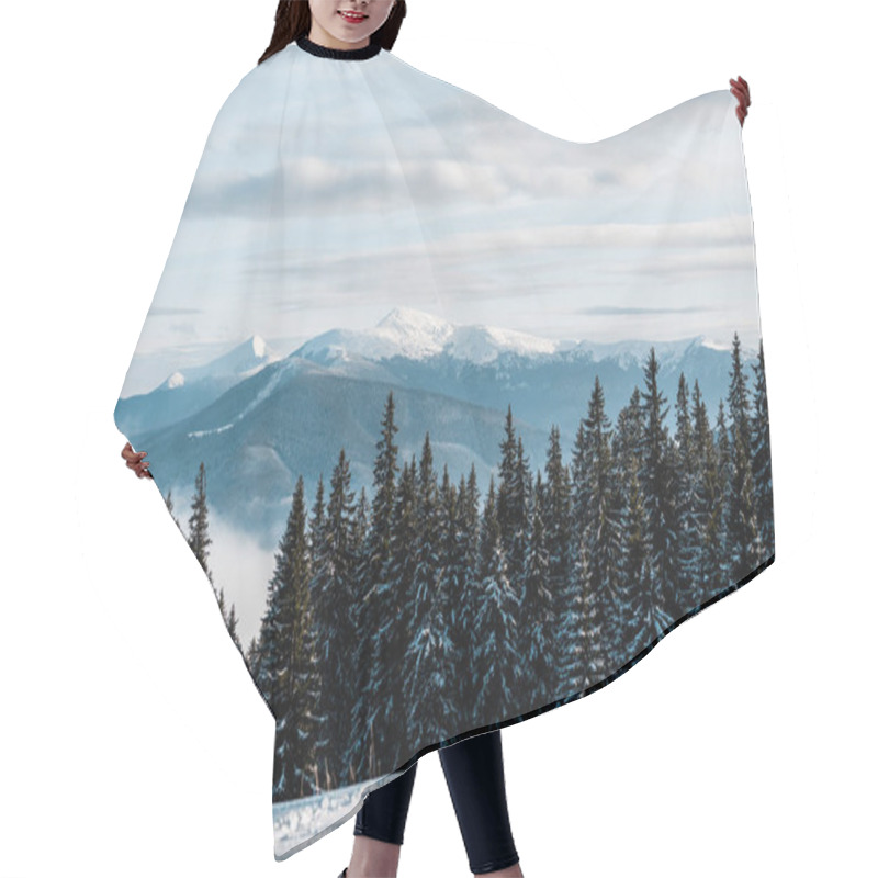 Personality  Scenic View Of Snowy Mountains With Pine Trees In White Fluffy Clouds Hair Cutting Cape