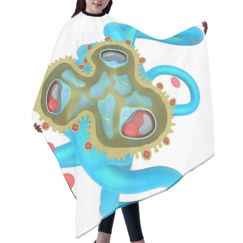 Personality  Glomerulonephritis Hair Cutting Cape