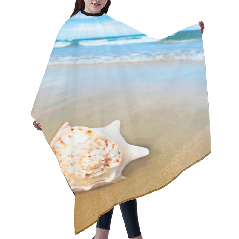 Personality  Seashell Hair Cutting Cape