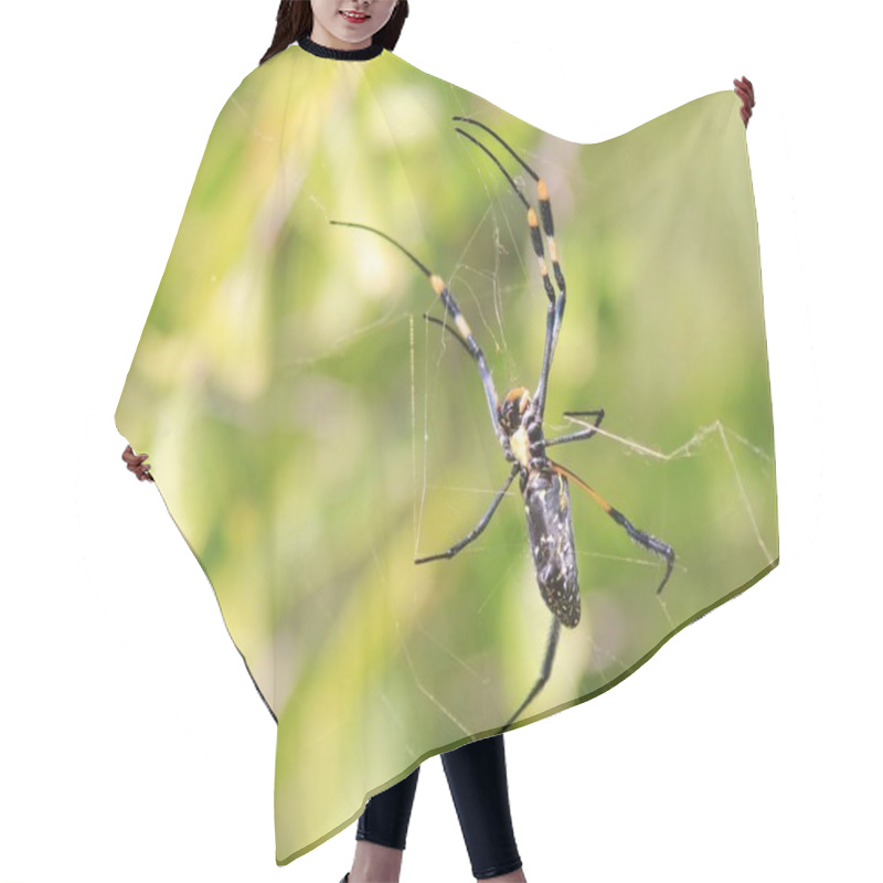 Personality  Spider, Close Up View Hair Cutting Cape