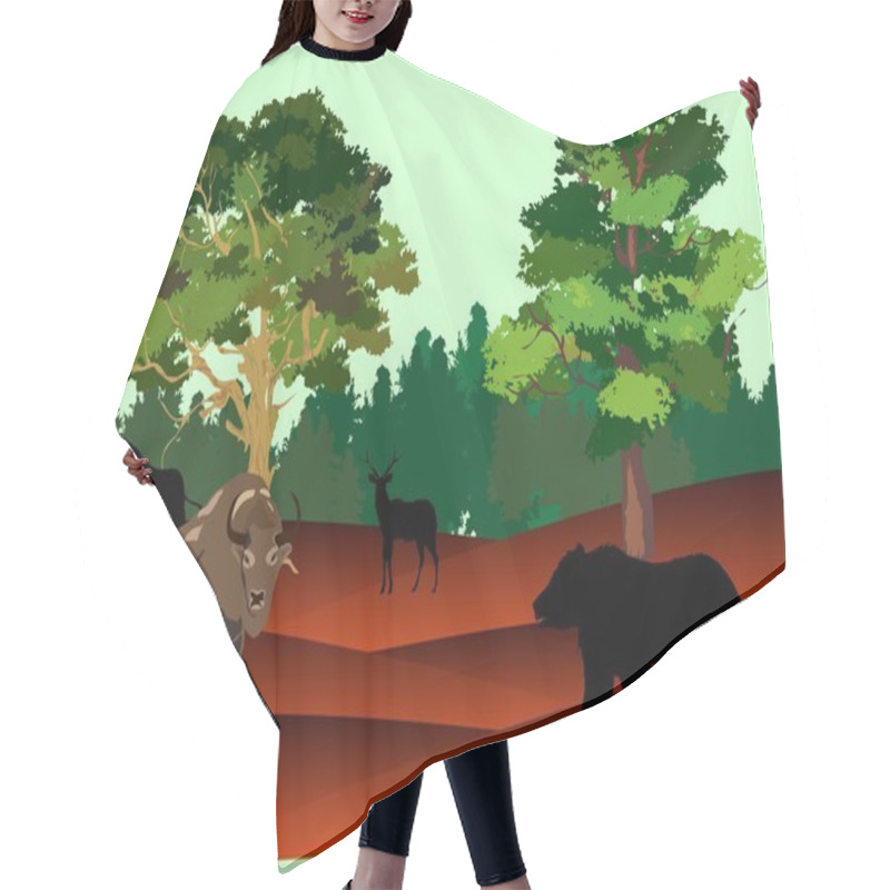 Personality  Bizon And Bear In American Prairie, Vector Illustration Hair Cutting Cape