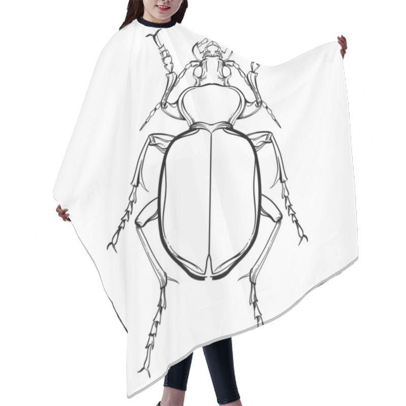 Personality  Insect Collection, Line Art, Vector. Hair Cutting Cape