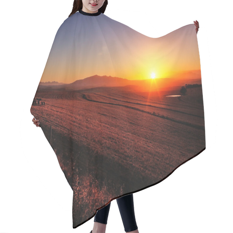 Personality  Sunrise Over Farmland Hair Cutting Cape