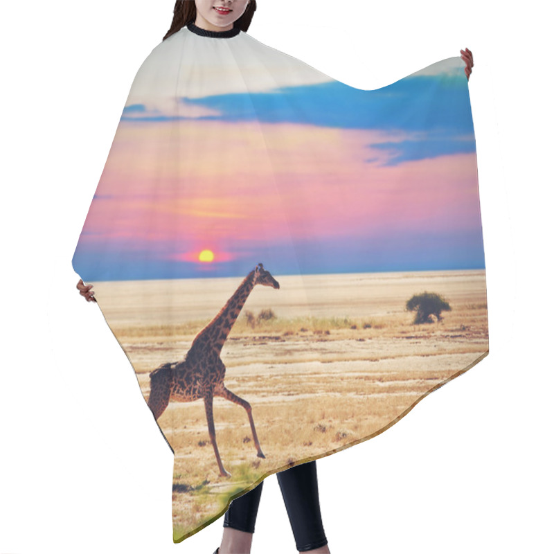 Personality  Giraffe On Savanna. Safari In Amboseli, Kenya, Africa Hair Cutting Cape