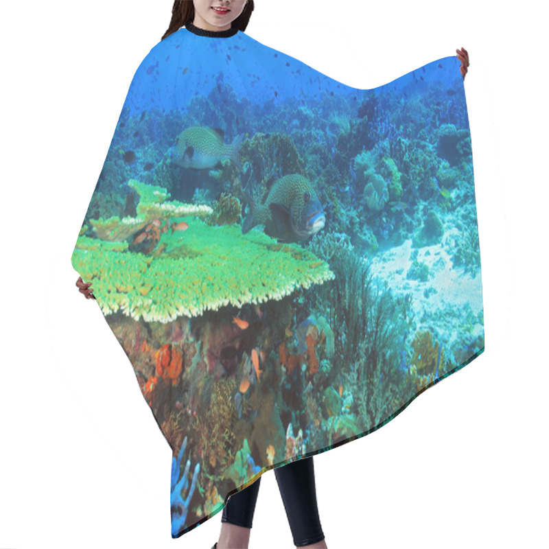 Personality  Coral Reef Komodo Hair Cutting Cape